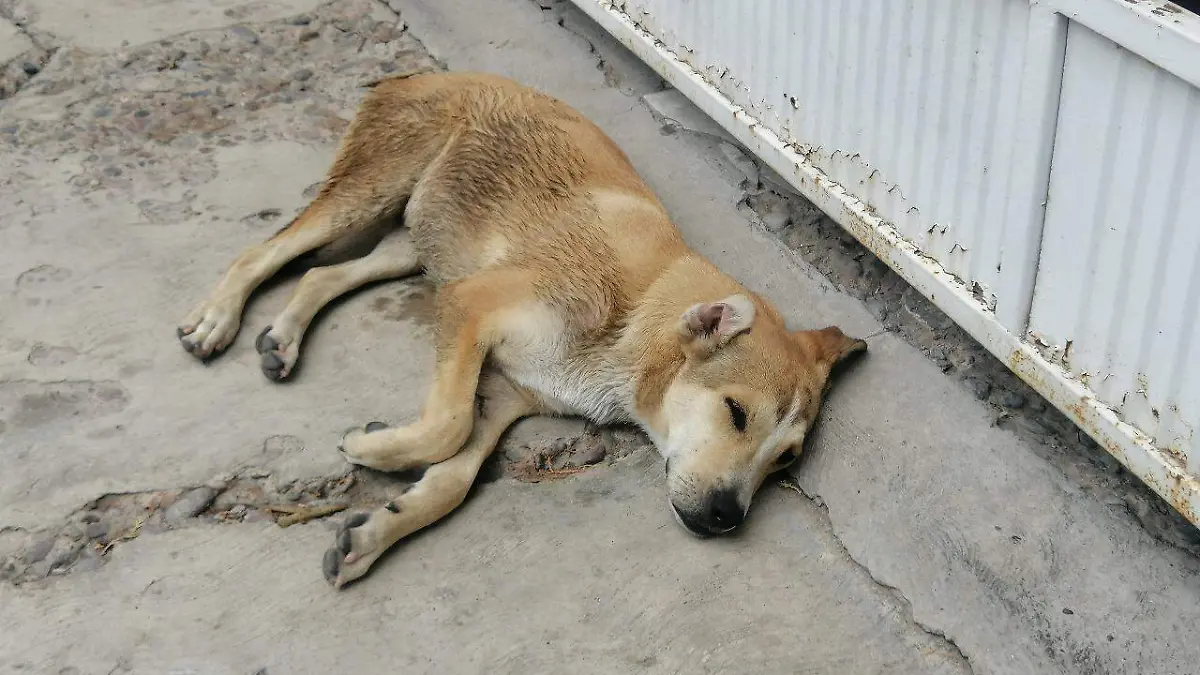 WhatsApp Image 2020-09-10 at 2.32.20 PM