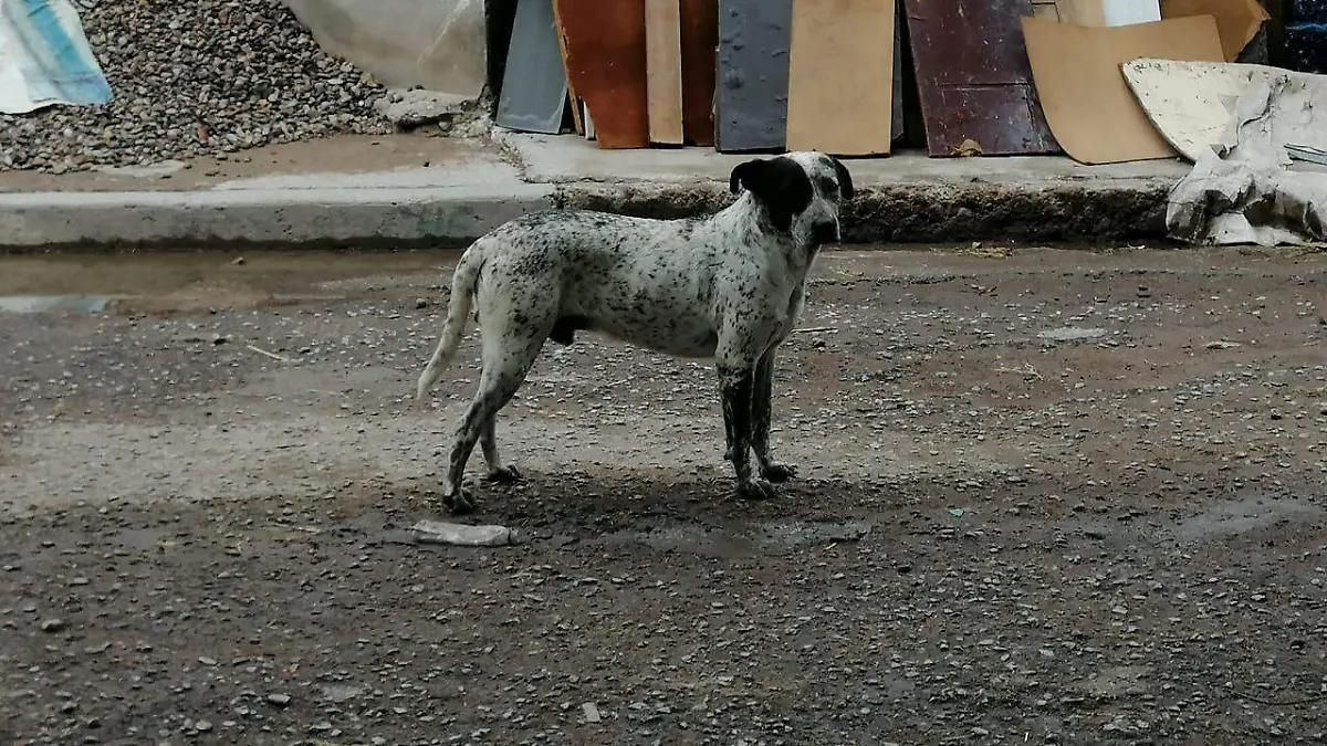 WhatsApp Image 2020-09-11 at 1.14.54 PM