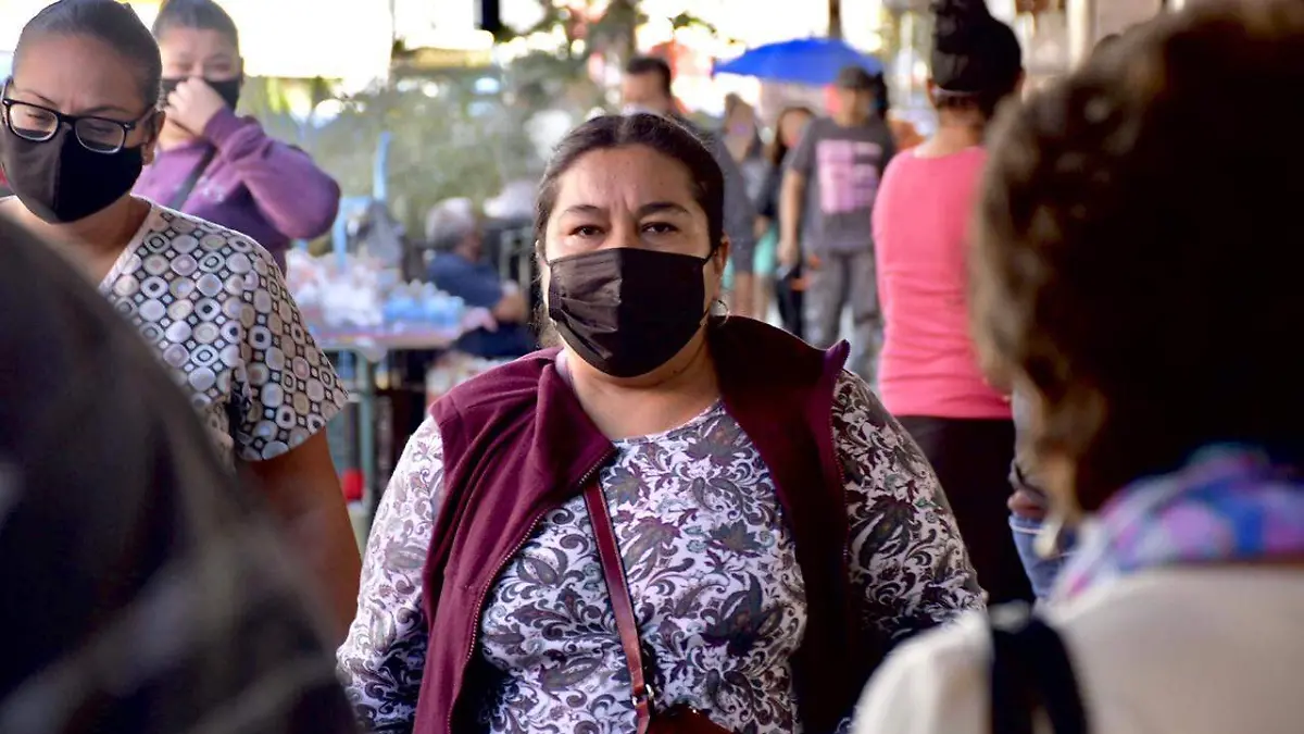 WhatsApp Image 2020-11-29 at 1.05.15 PM