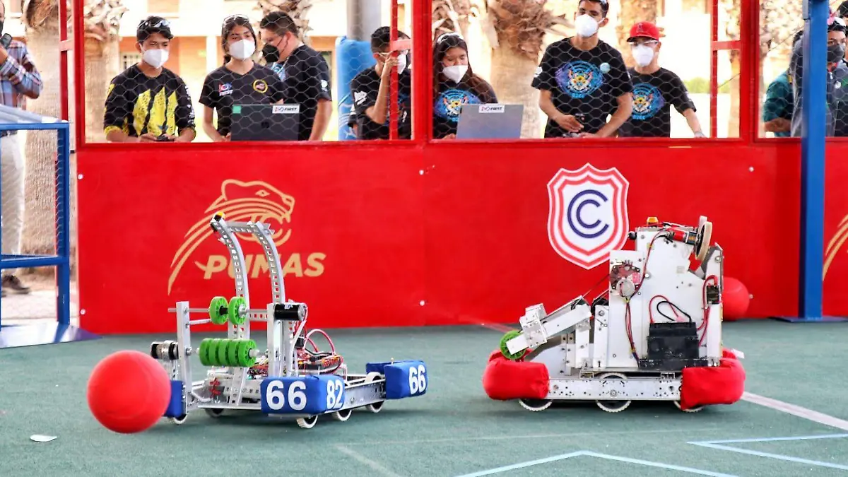 WhatsApp Image 2022-03-15 at 2.38.48 PM