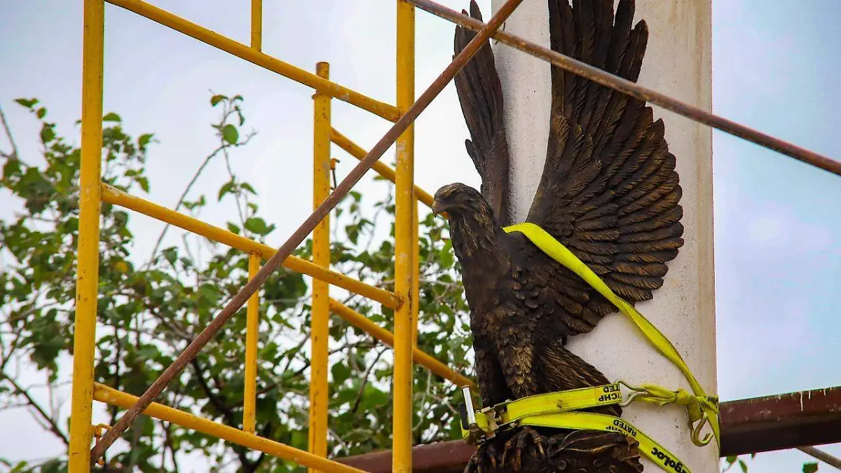 WhatsApp Image 2020-07-27 at 5.39.02 PM