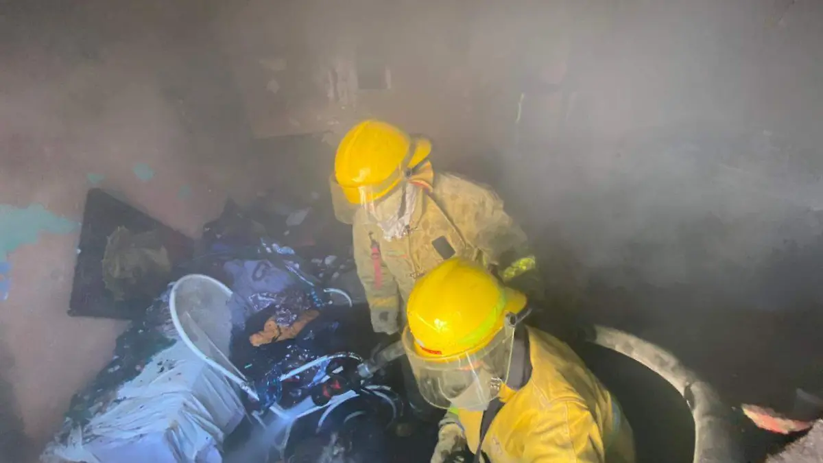 WhatsApp Image 2021-02-21 at 1.45.27 PM