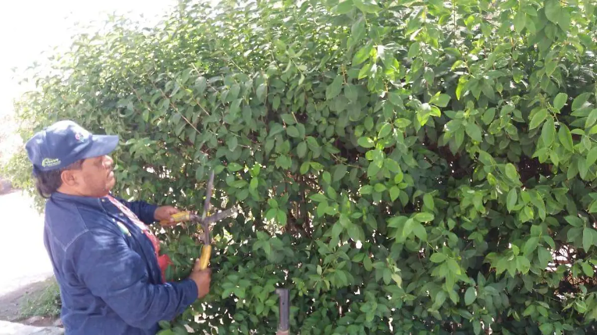 WhatsApp Image 2020-09-06 at 1.53.50 PM