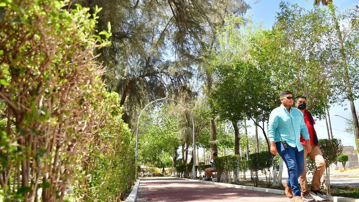 WhatsApp Image 2021-04-15 at 3.17.15 PM