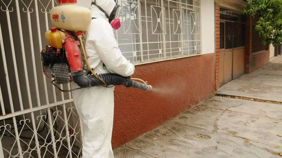 campaña contra el dengue