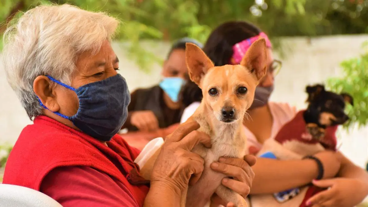 WhatsApp Image 2020-09-11 at 3.34.00 PM