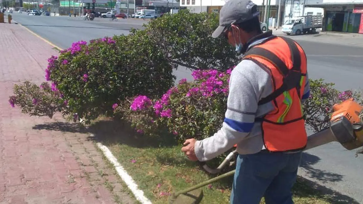 medio-ambiente-Gómez-Palacio