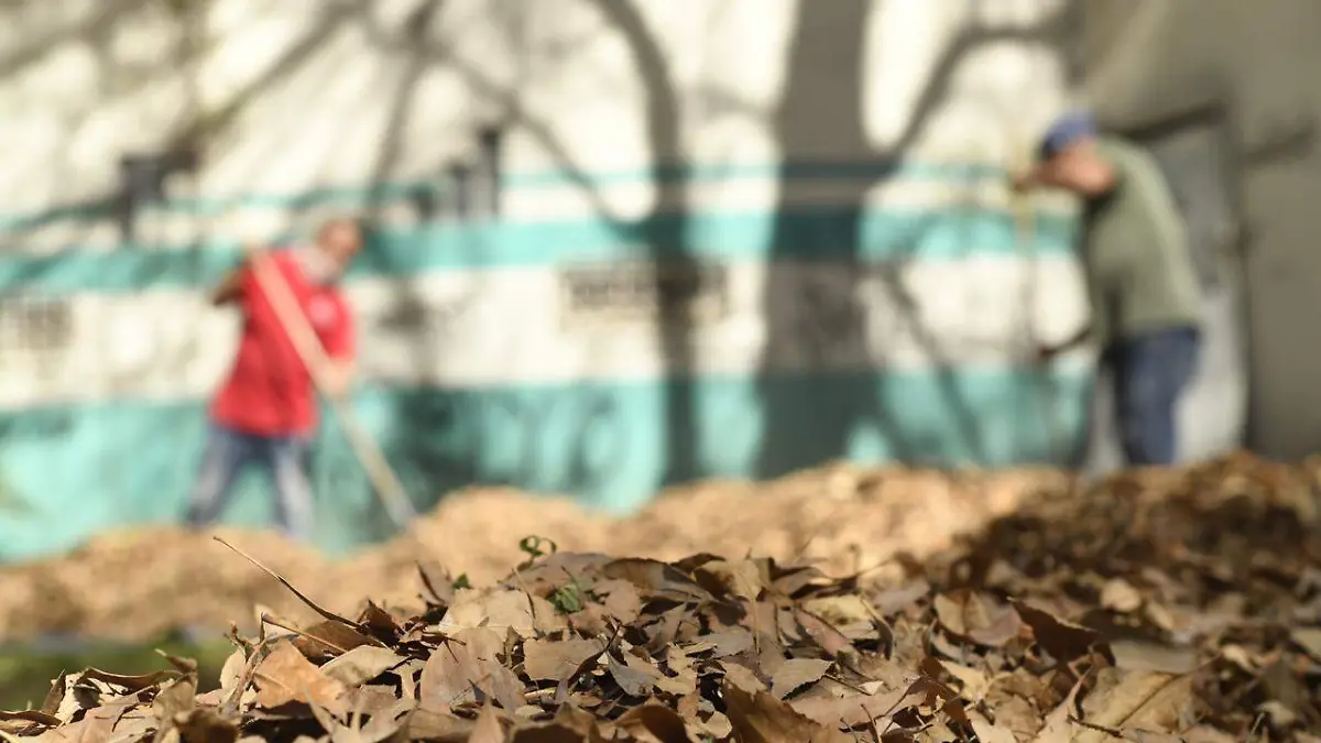 WhatsApp Image 2021-01-27 at 4.18.48 PM