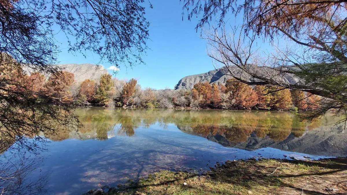 WhatsApp Image 2021-04-22 at 4.15.45 PM