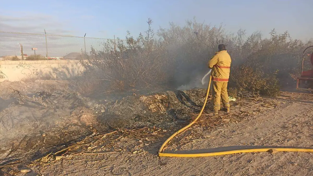 WhatsApp Image 2022-04-19 at 5.08.42 PM