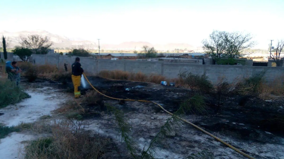 WhatsApp Image 2022-03-22 at 1.19.56 PM