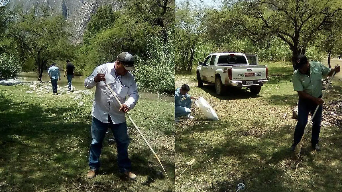 cañón de fernández