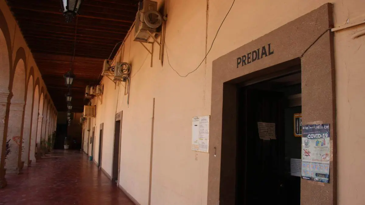 WhatsApp Image 2021-01-01 at 2.13.12 PM