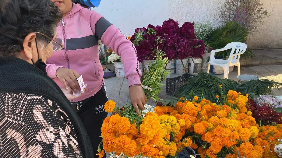 WhatsApp Image 2022-11-01 at 2.38.36 PM