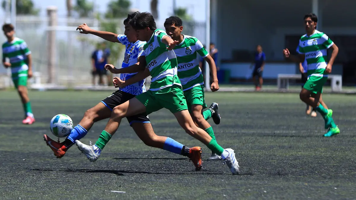 CAMPOS 7