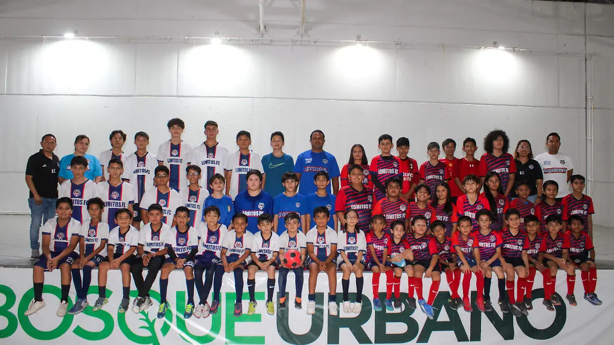 SOLIS 6