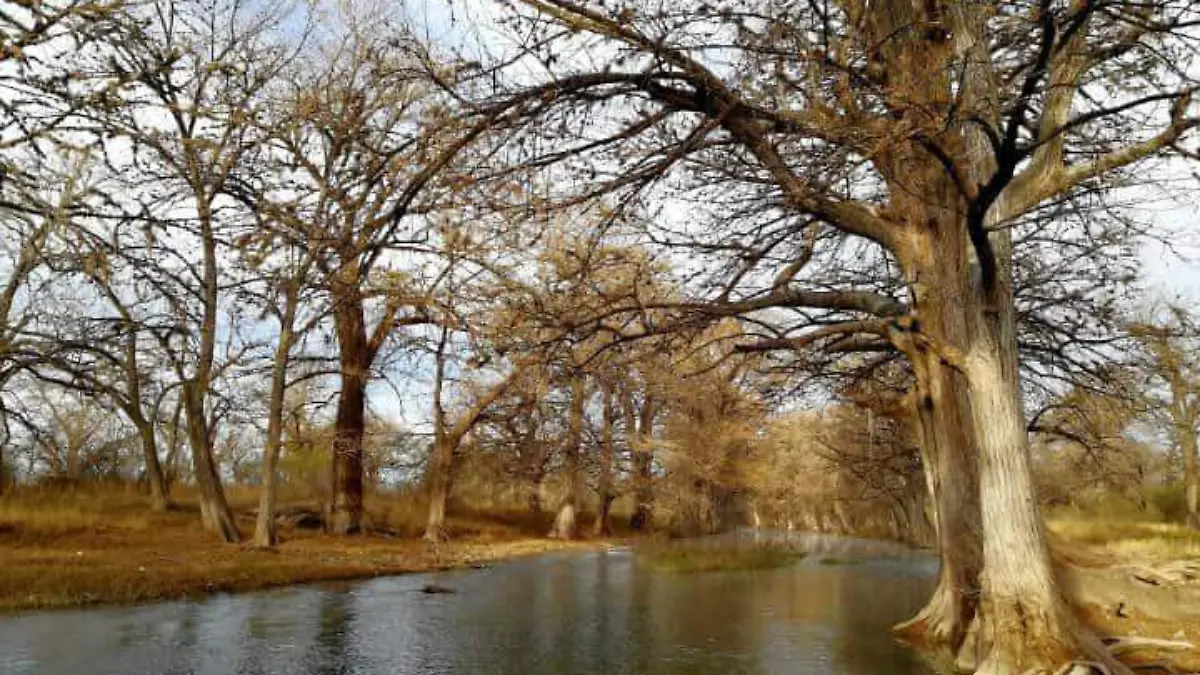 Rio-Sabinas-Coahuila-Foto-El-Souvenir-2