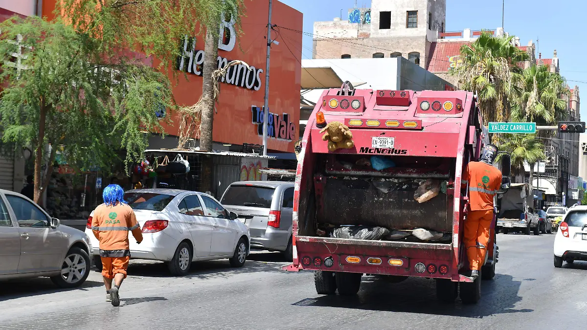 CAMPOS 4 (2)