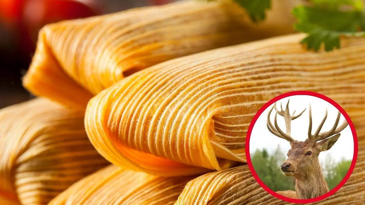 Tamales de venado