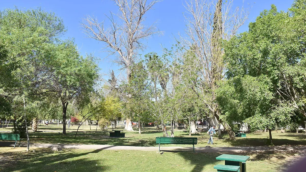 CAMPOS 8