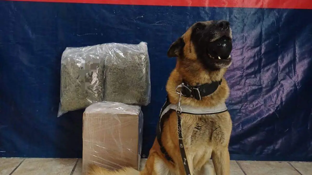 WhatsApp Image 2025-06-21 at 10.05.21 PM