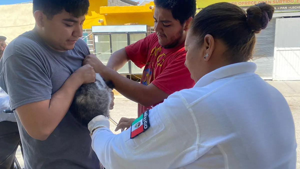 WhatsApp Image 2025-06-24 at 16.03.47 (2)