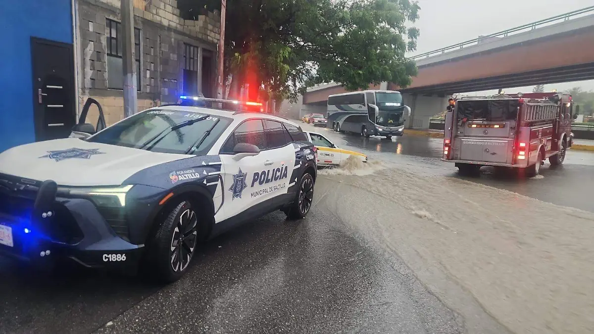 WhatsApp Image 2025-07-01 at 18.19.33