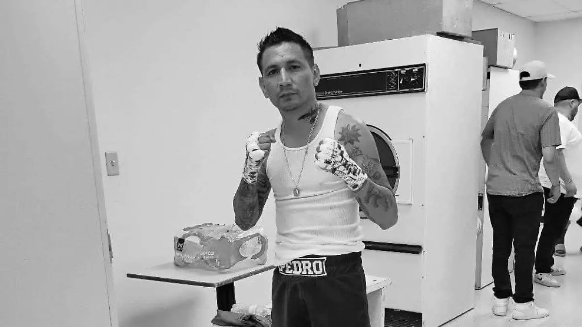 Boxeador