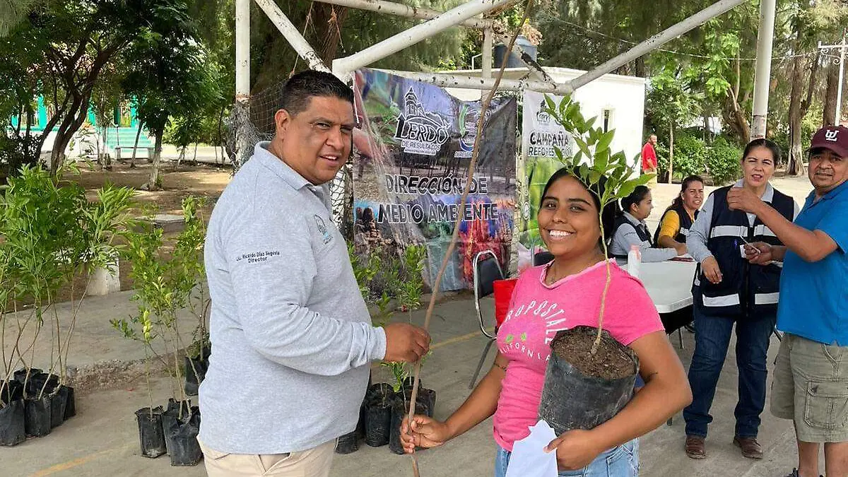 Campaña reforestación