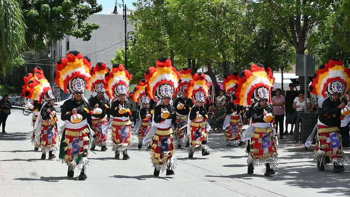 WhatsApp Image 2025-07-14 at 15.37.21