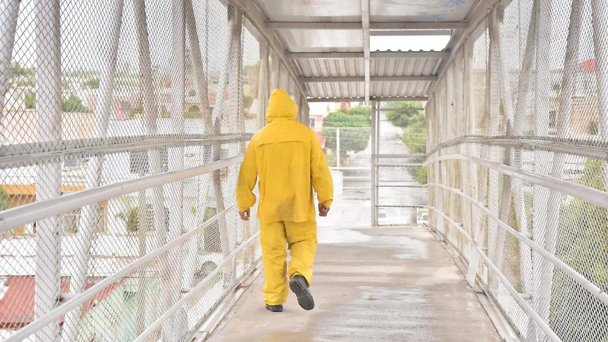 WhatsApp Image 2025-07-26 at 12.47.11