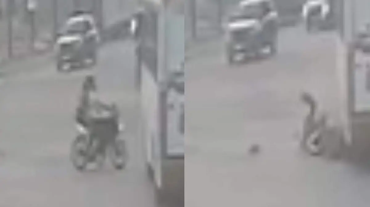 image - 2025-07-27T141549.815