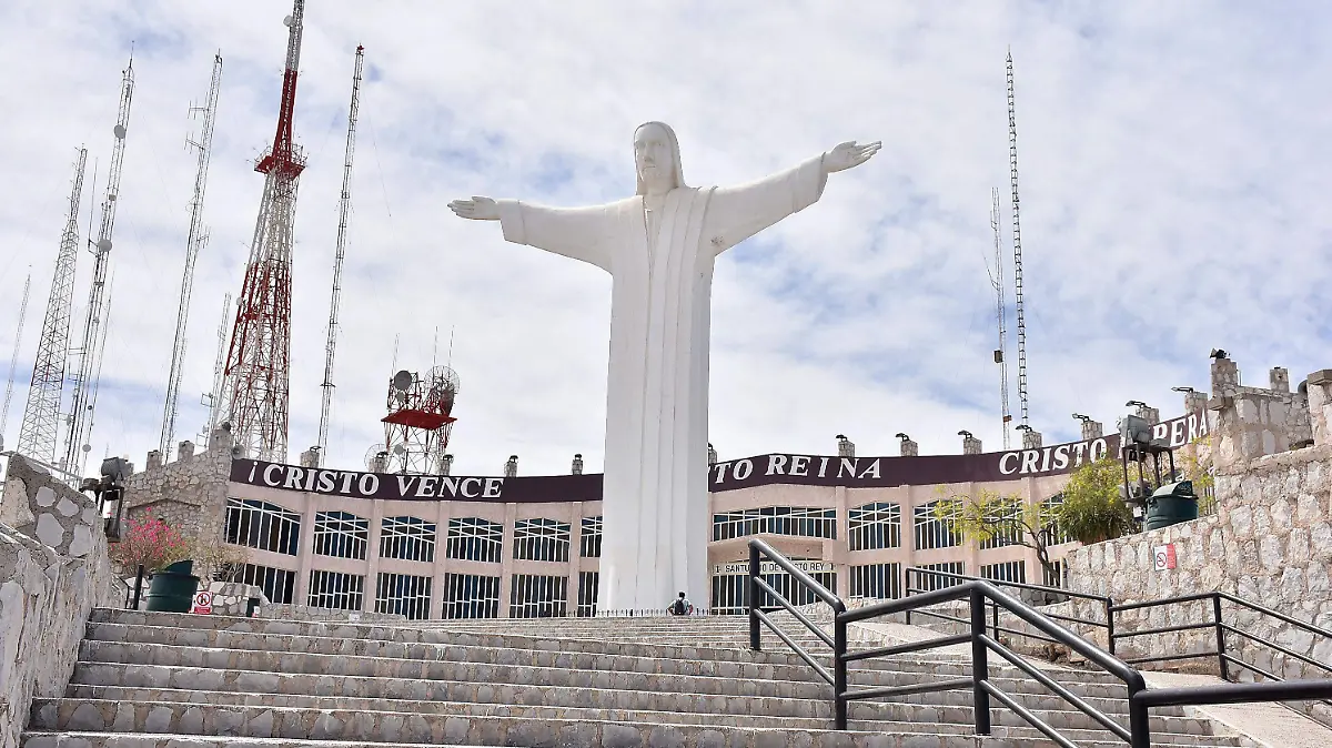 CAMPOS 5