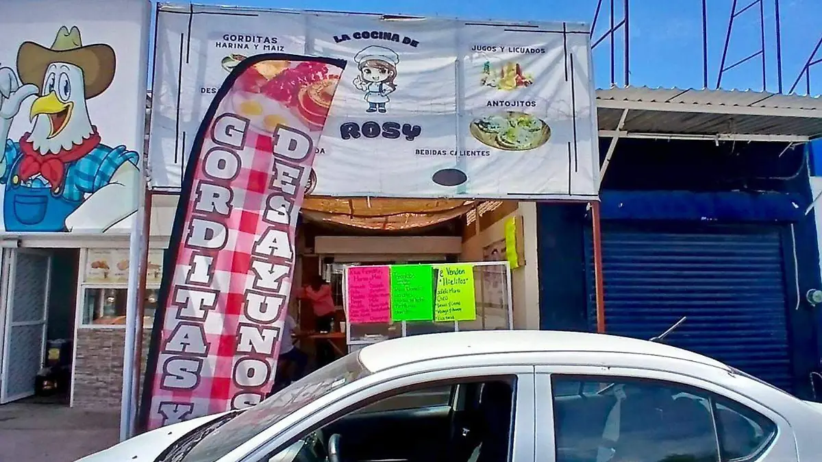 CAMPOS 4 (3)