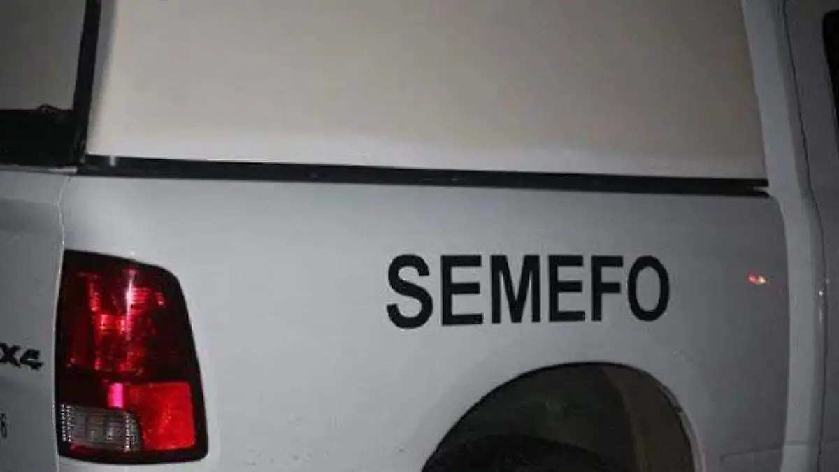 SMEEFO