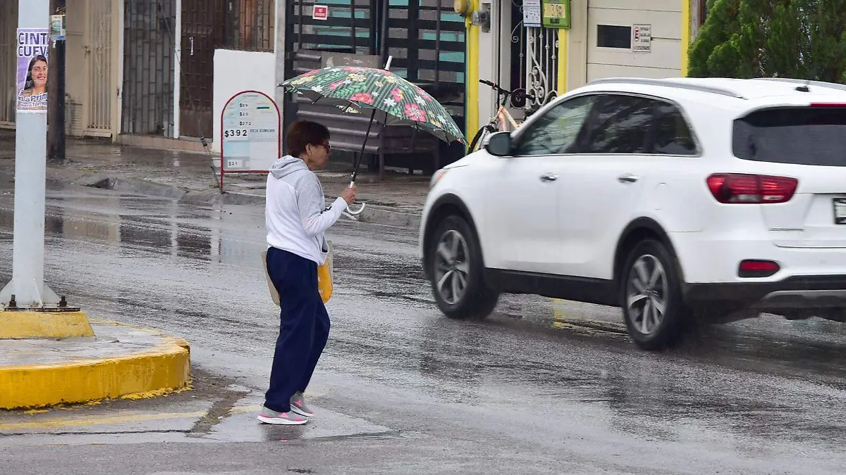 WhatsApp Image 2025-08-15 at 16.53.41 (1)