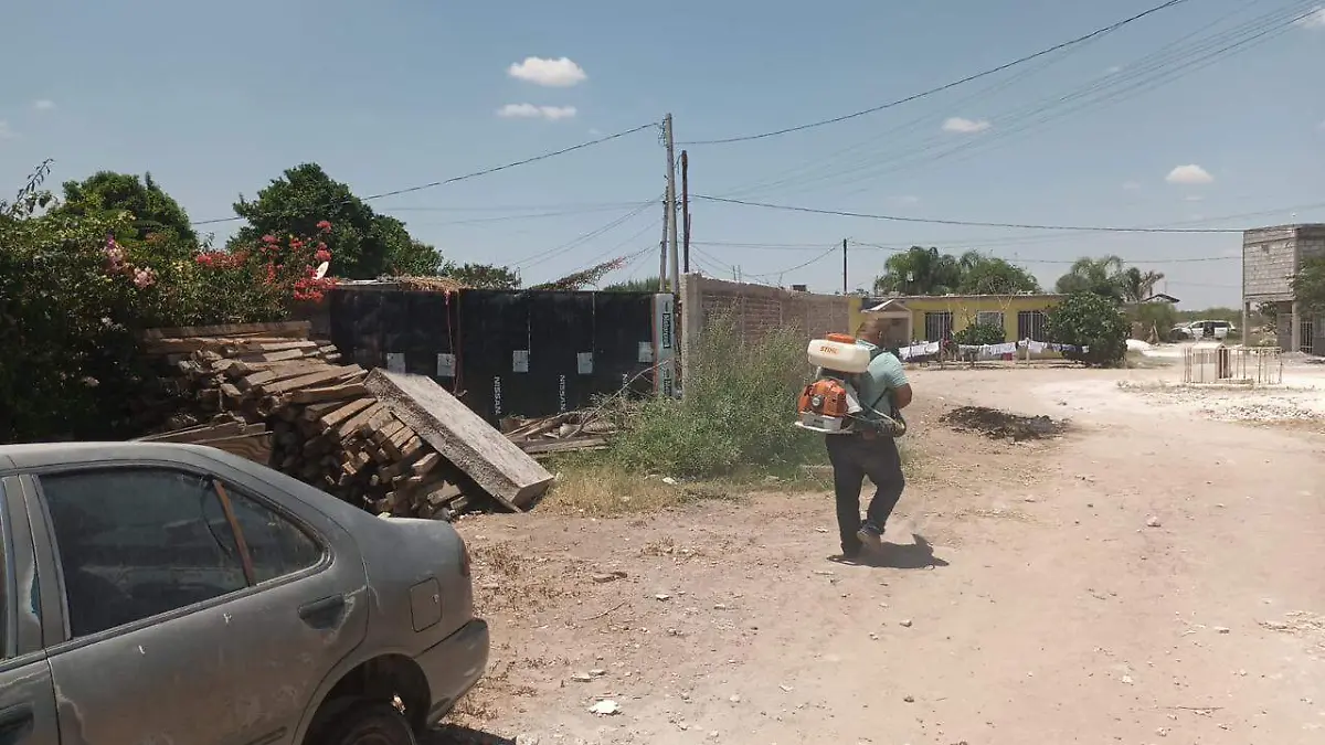 fumigación