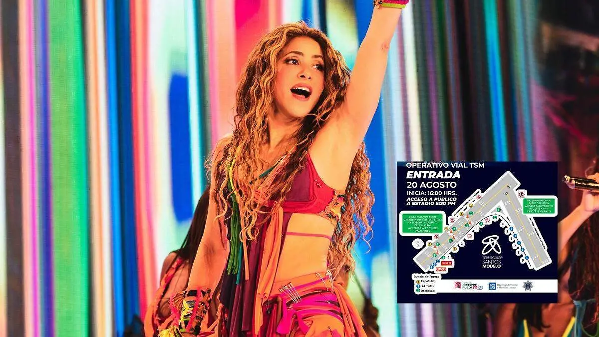 Seguridad Shakira