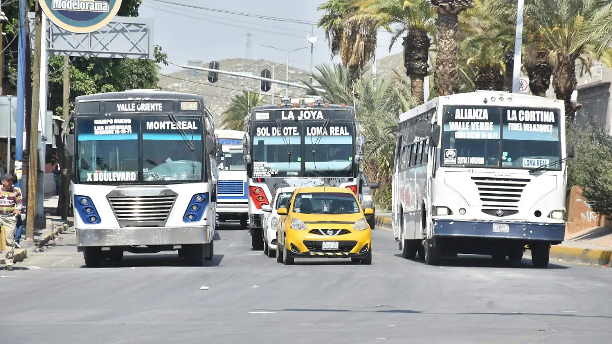 CAMPOS 6 (2)