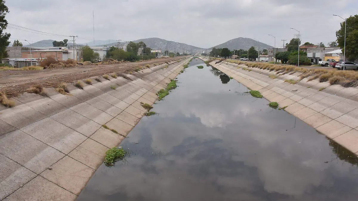 WhatsApp Image 2025-09-08 at 11.25.27