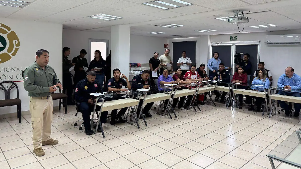CAMPOS 7