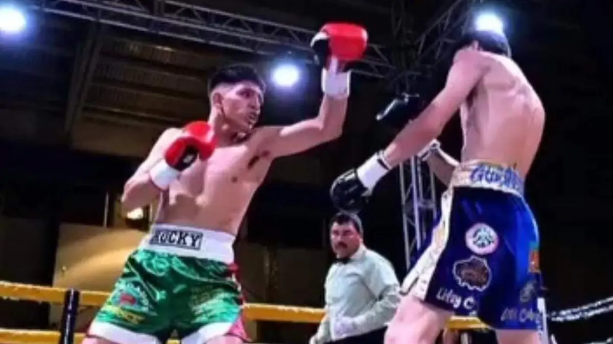 Boxeo