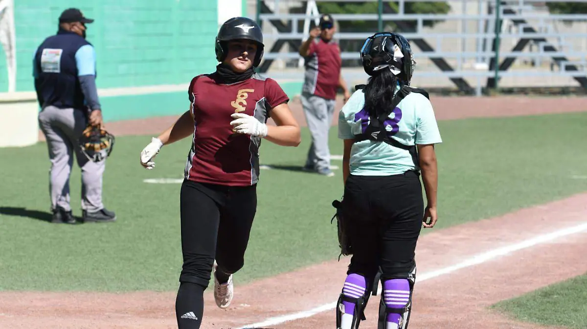 Algodoneras se refuerzan para la LMS