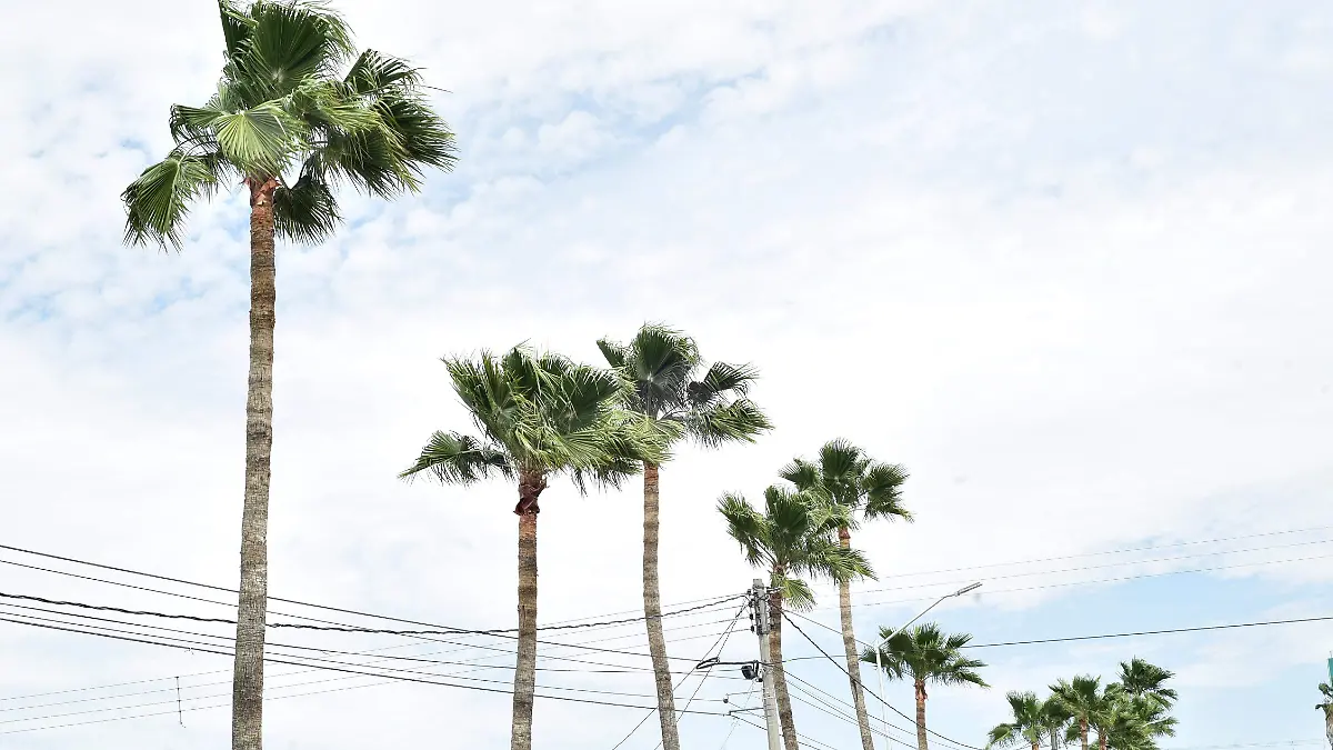 f30696da-ca52-493f-8cba-f3503c0431e1