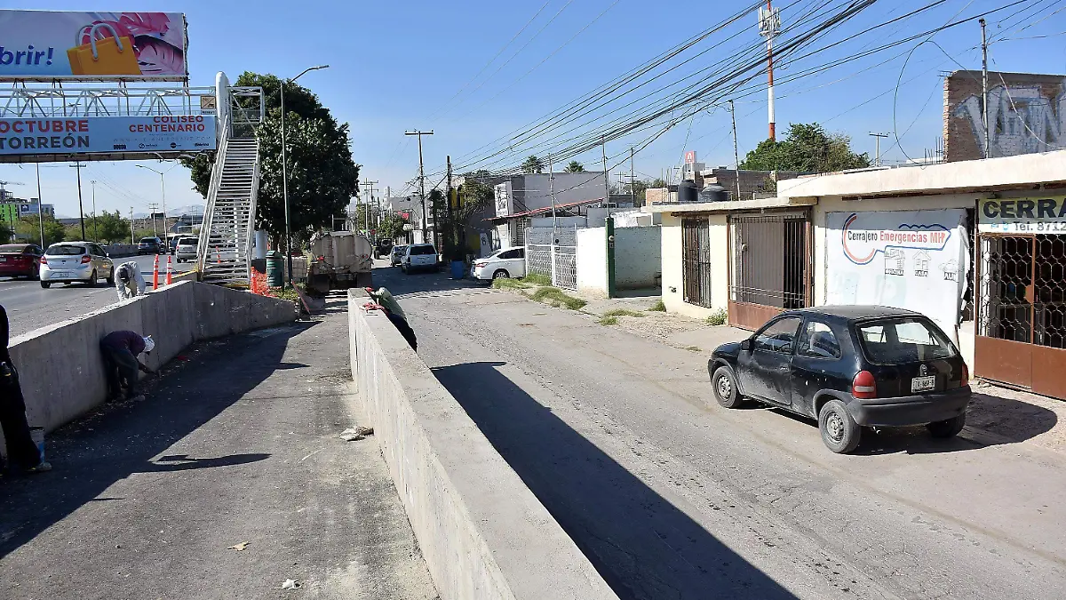 CAMPOS 3 (4)