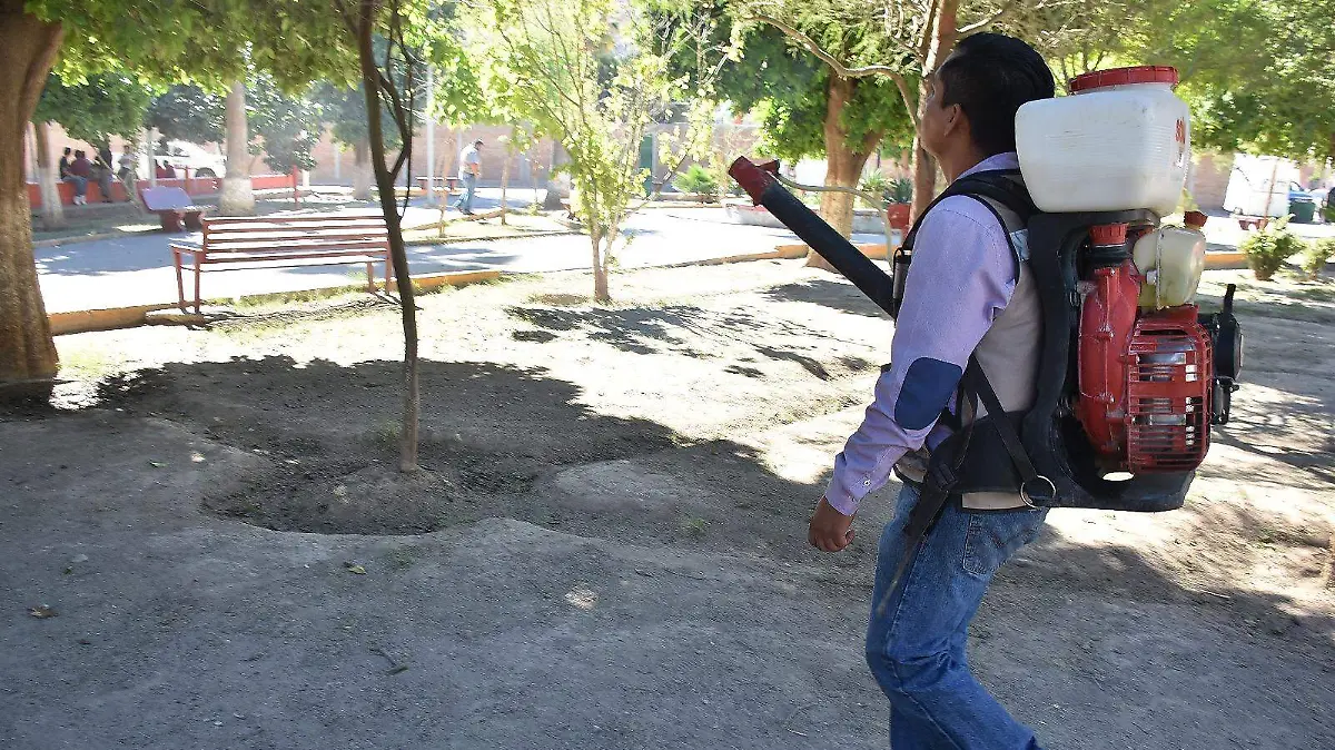 WhatsApp Image 2025-10-29 at 11.41.19