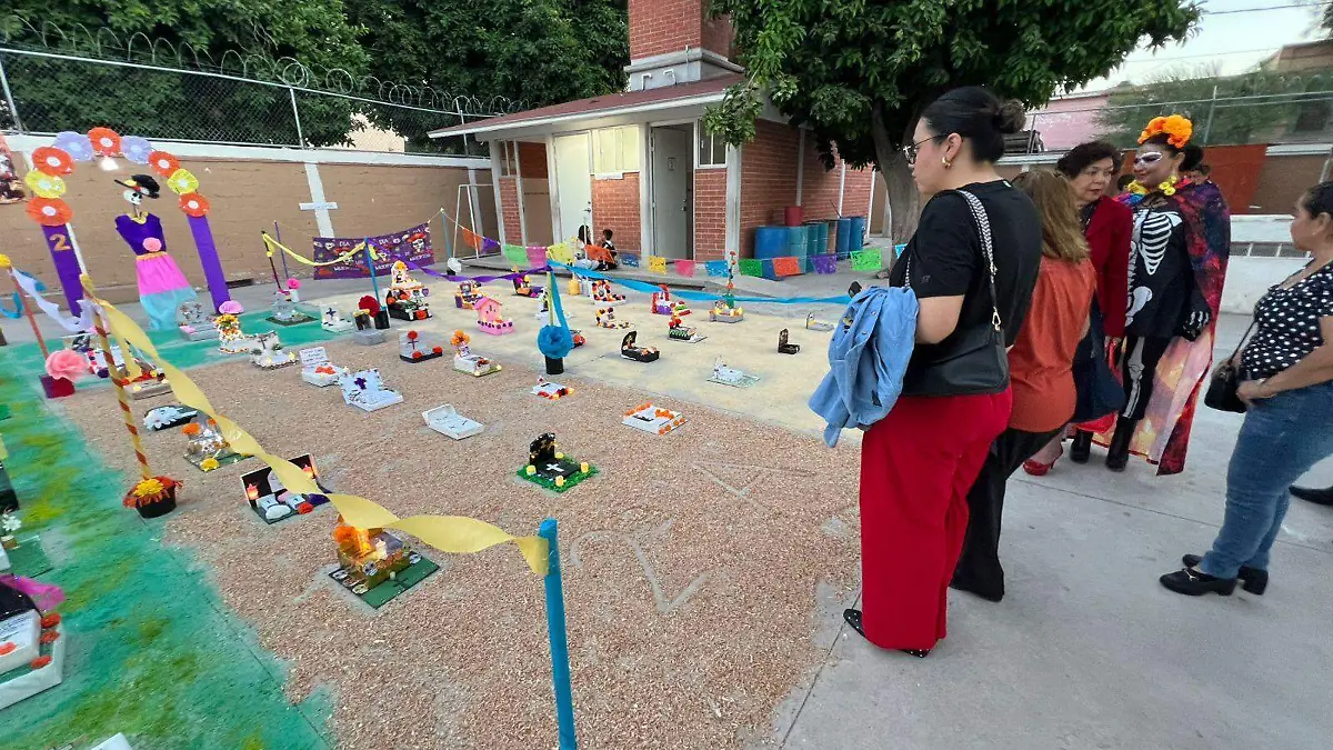 WhatsApp Image 2025-10-30 at 6.59.29 PM