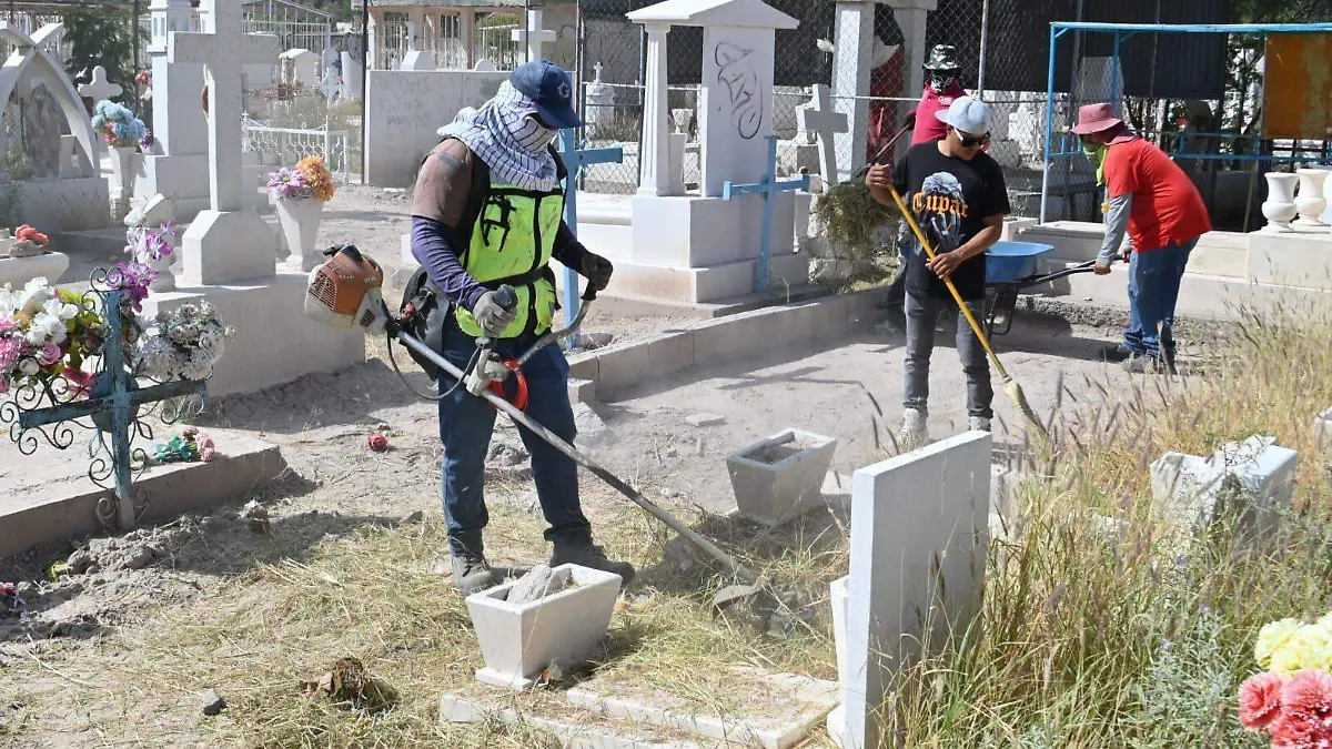 WhatsApp Image 2025-11-01 at 8.00.58 PM