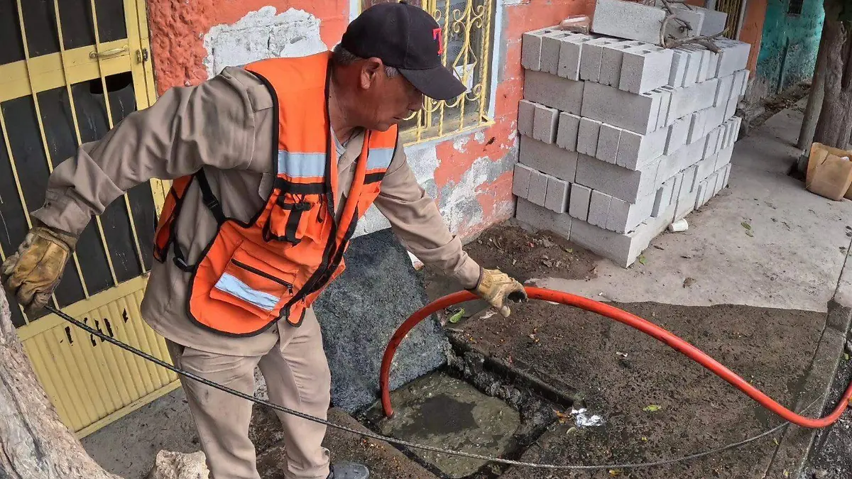 WhatsApp Image 2025-11-03 at 12.28.23