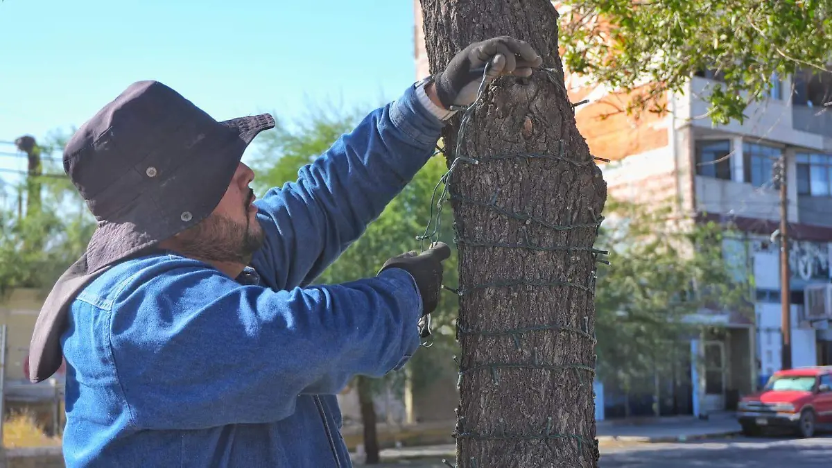Regresa la iluminación navideña a Torreón
